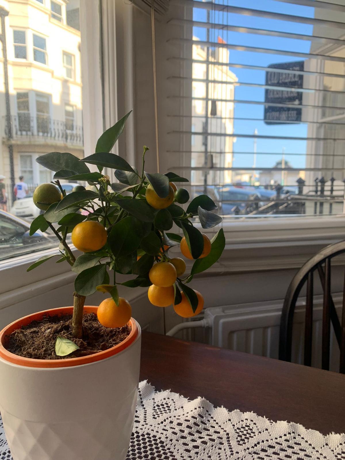 WhatsApp Image 2026 01 14 At 13.36.19 4