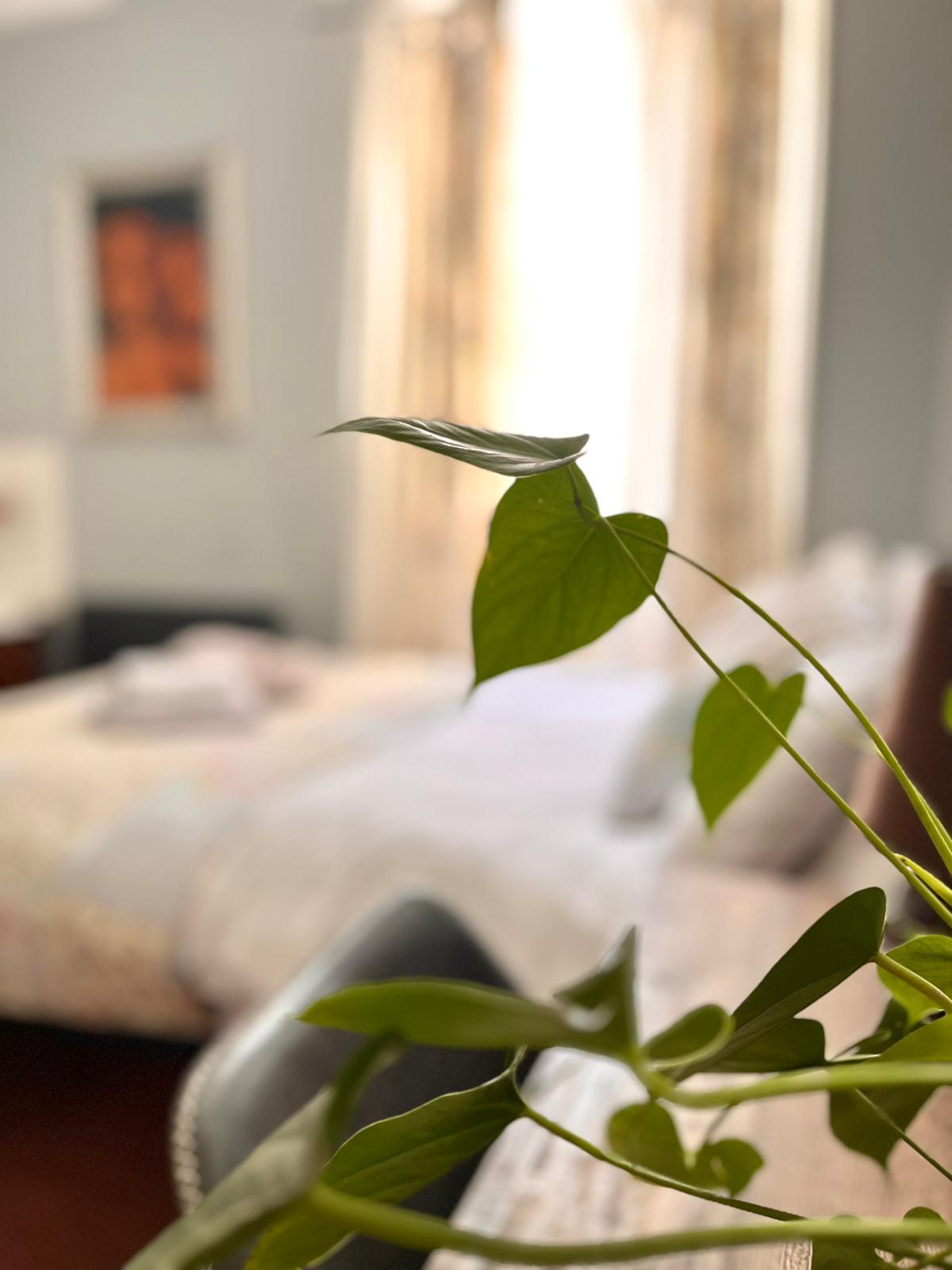 WhatsApp Image 2026 01 14 At 13.36.19